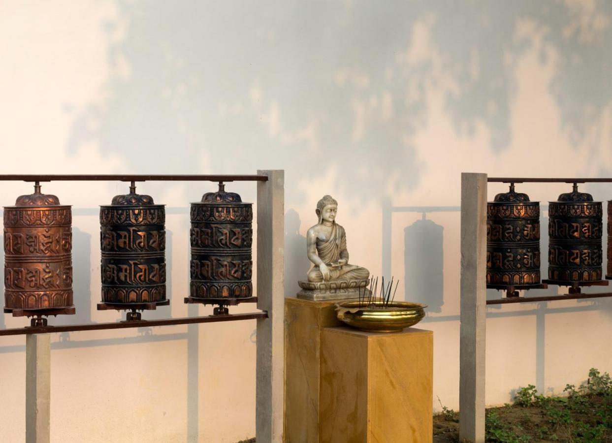 Resort Tree Of Life & Varanasi